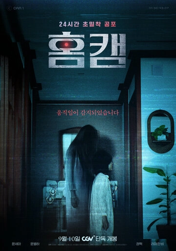 Домашняя камера